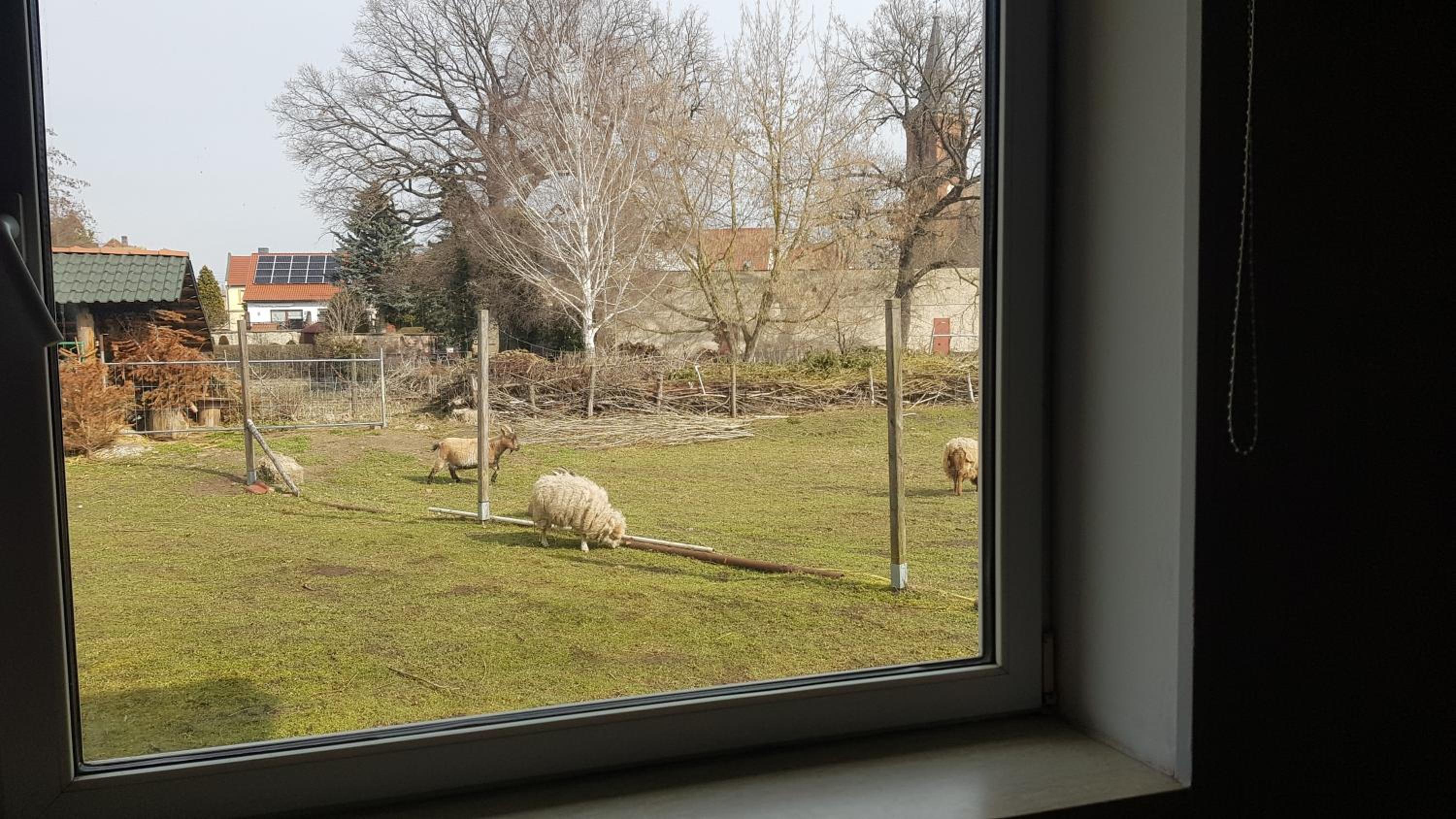 Zimmervermietung Zahn