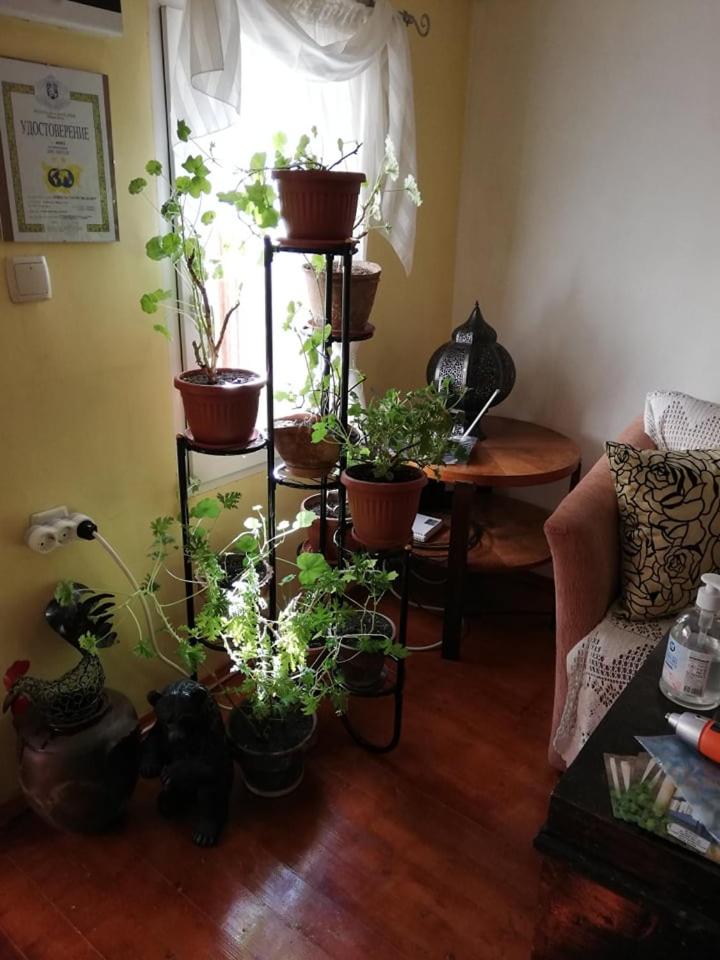 Guest House Vodolei