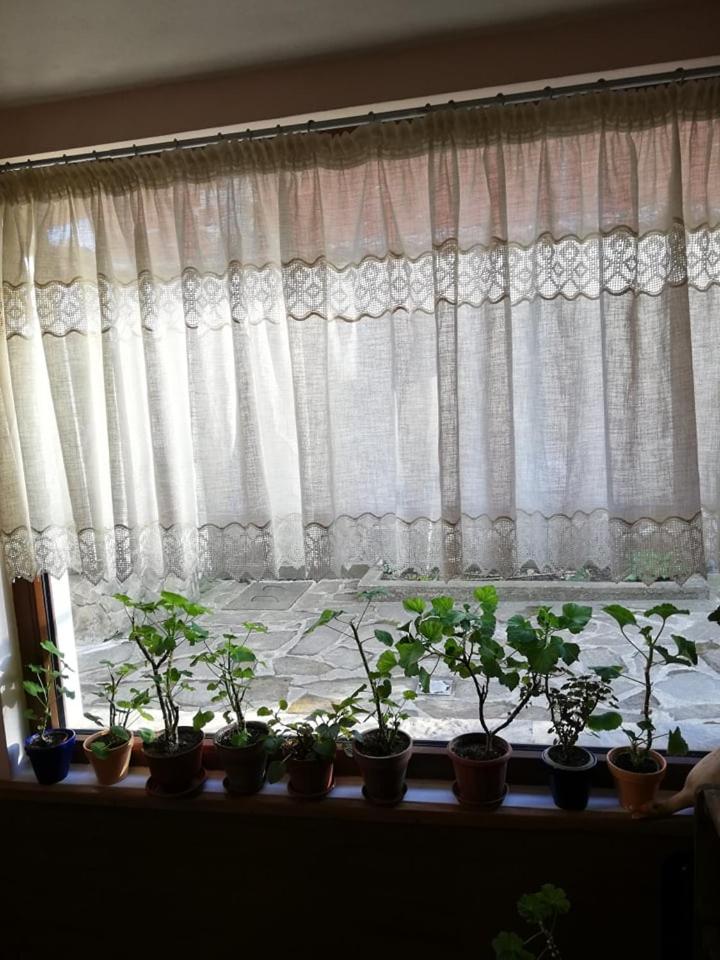 Guest House Vodolei