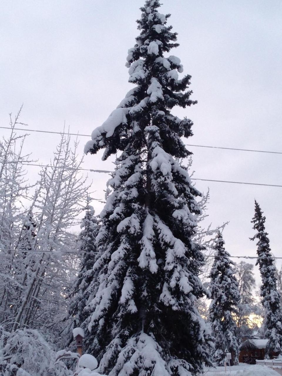Photo 20