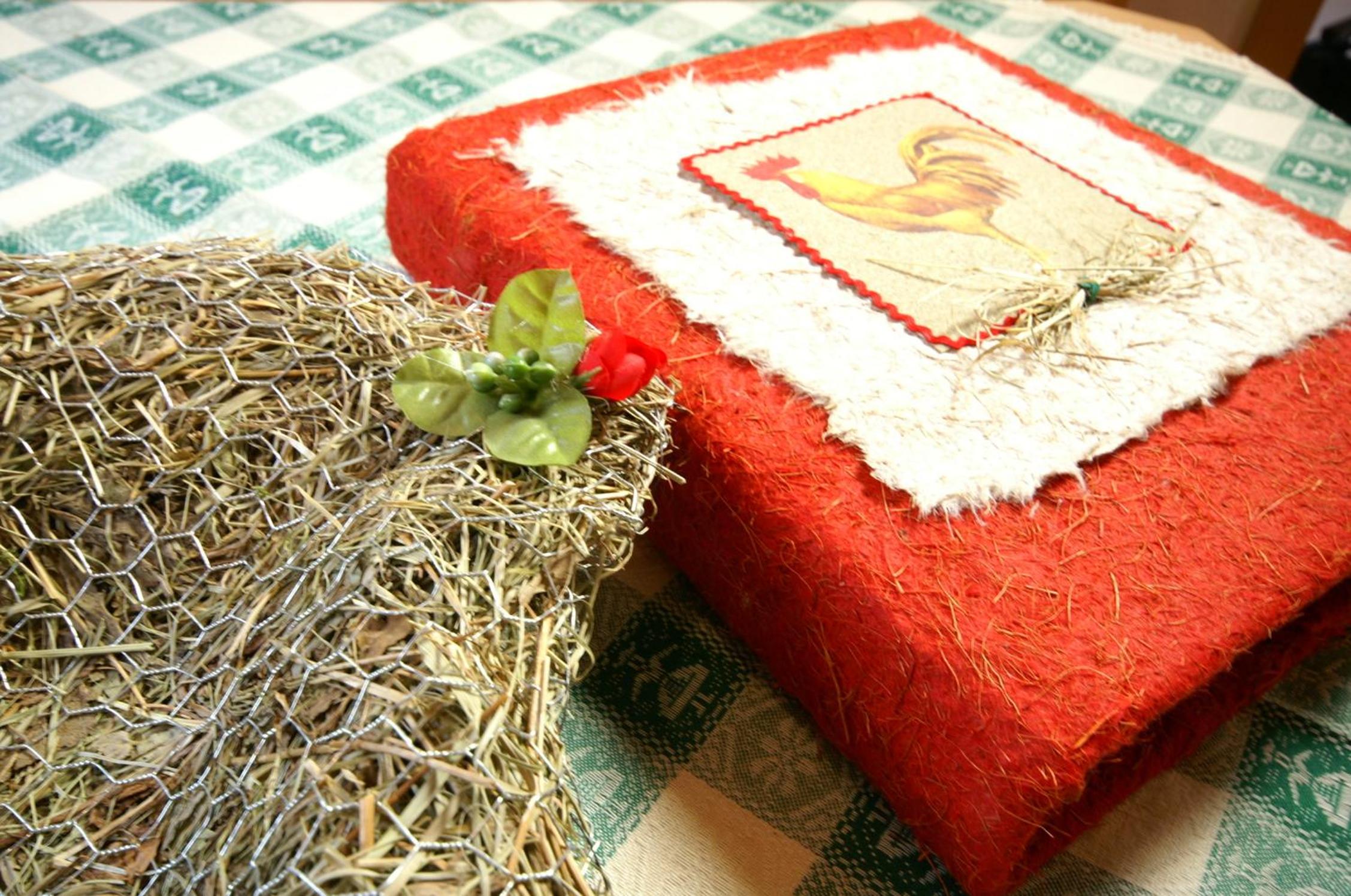 Photo 27