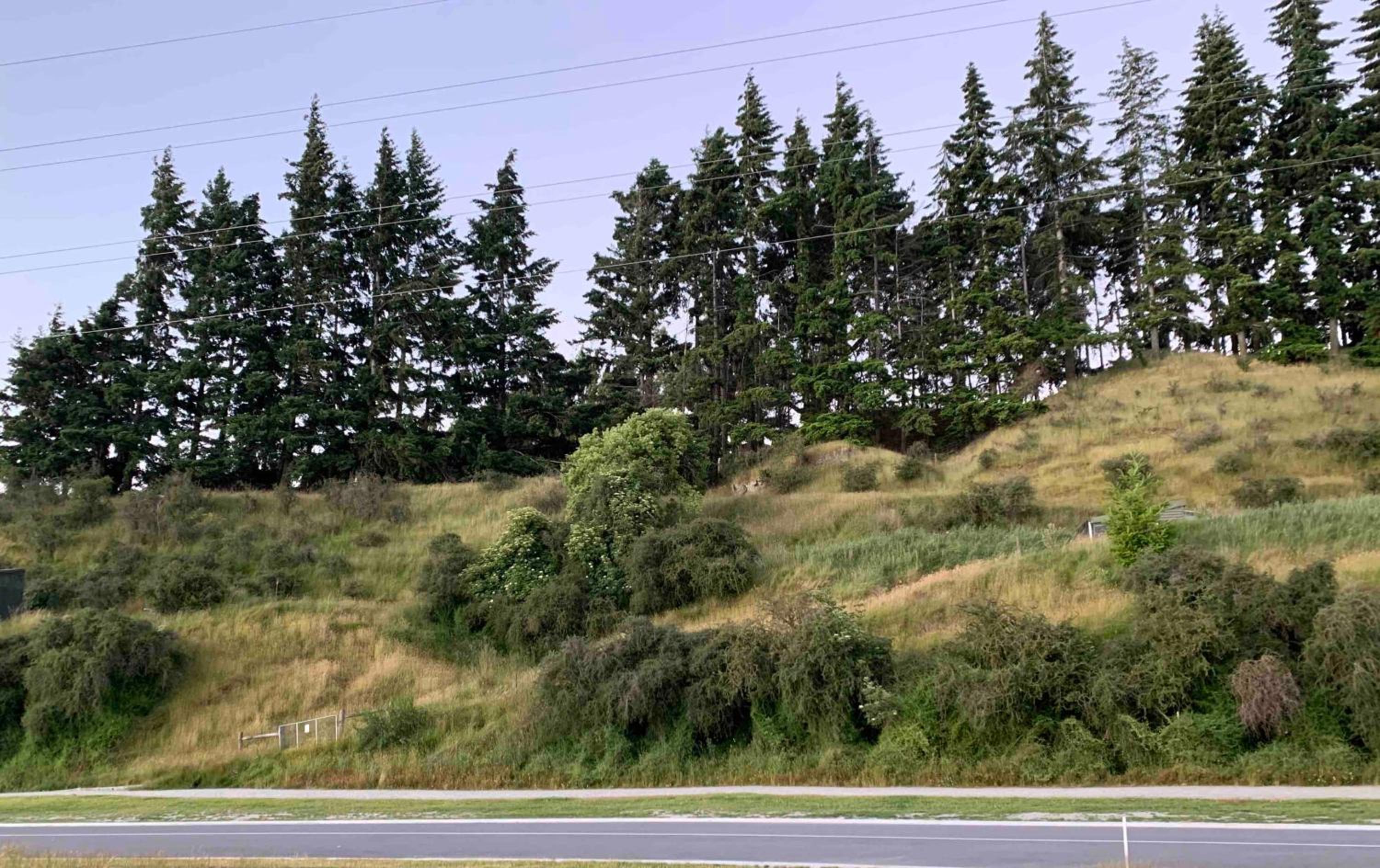 Hillside Studio