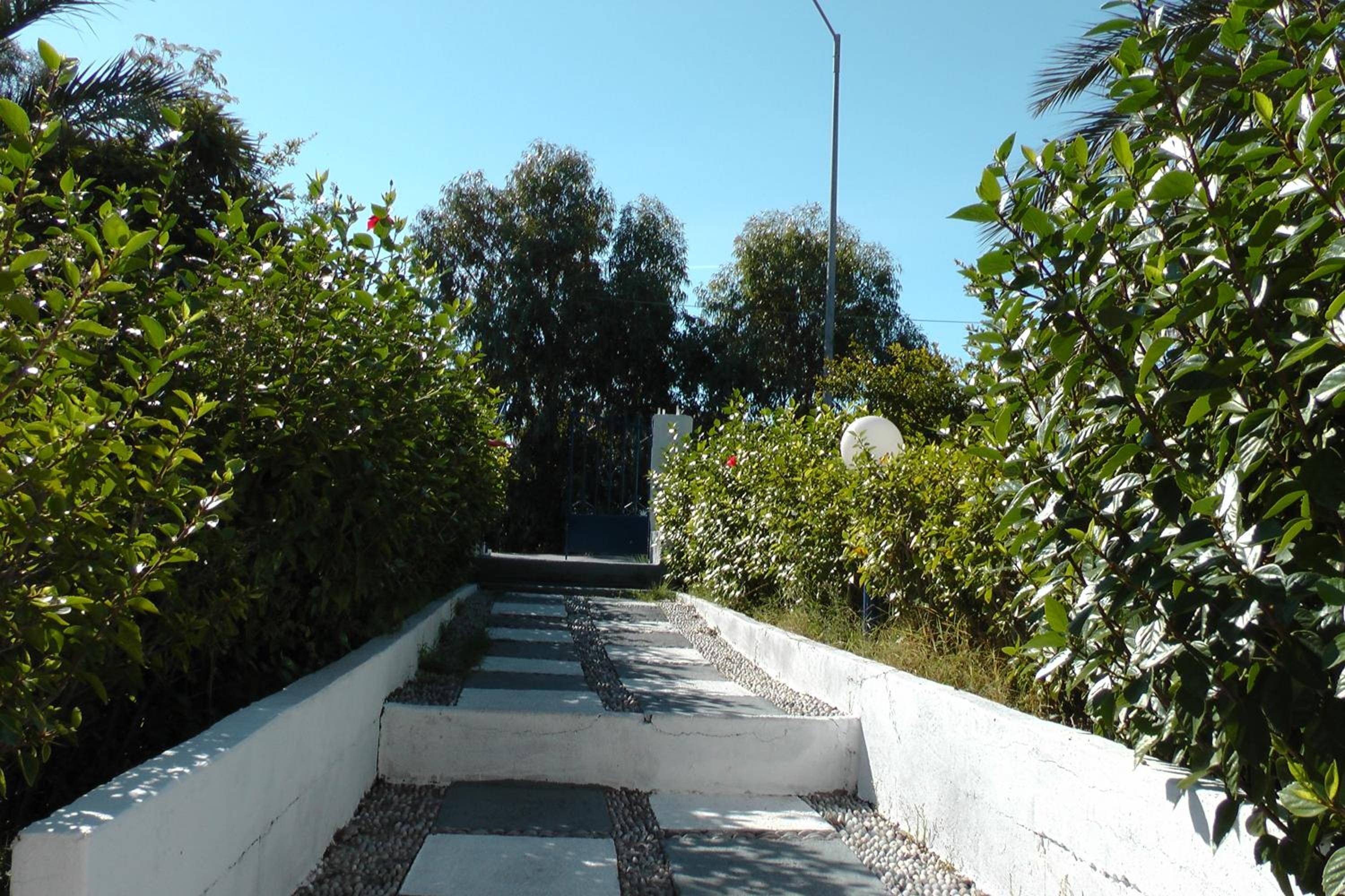 Photo 27