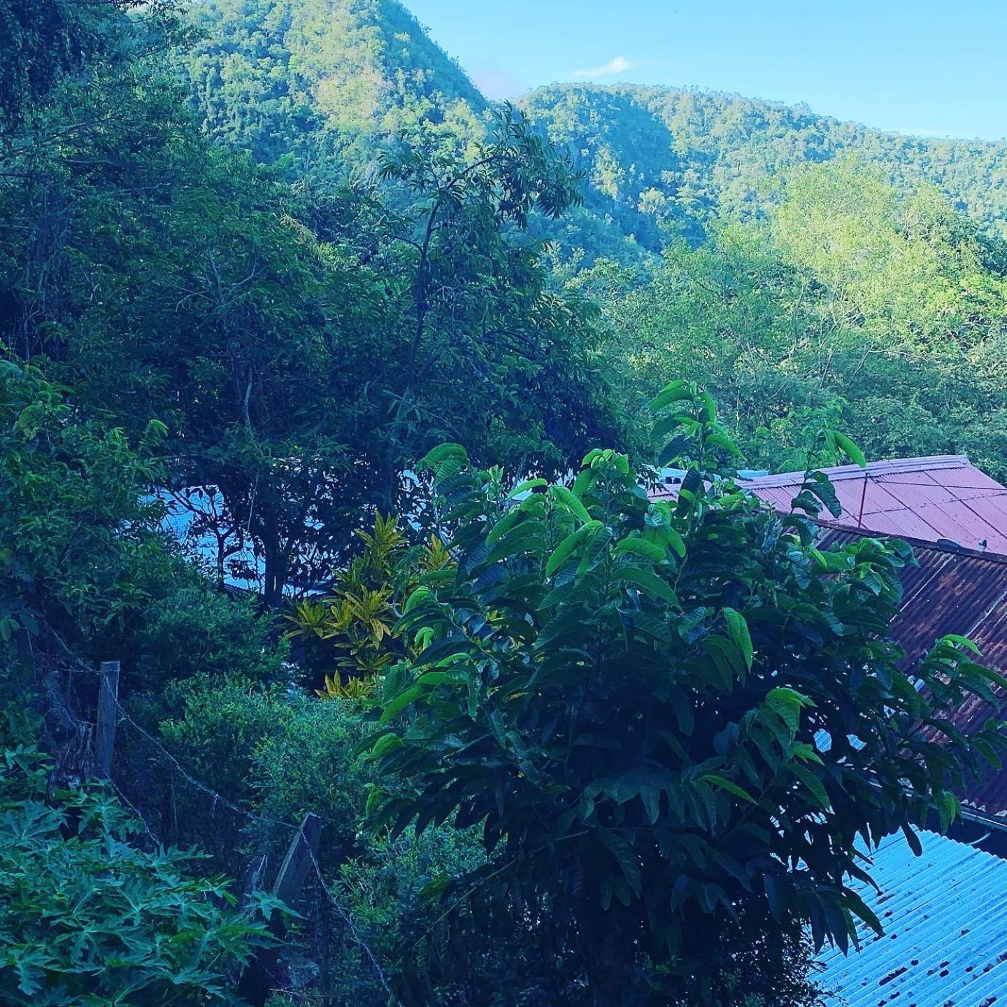 Finca Peñitas