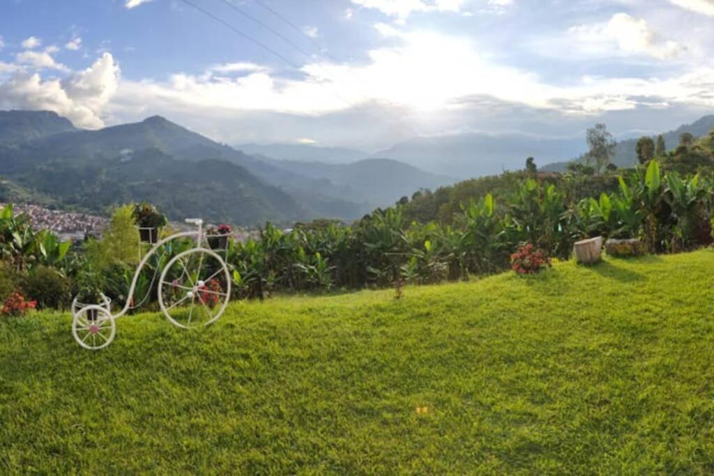 Finca La Antigua. finca tradicional Cafetera