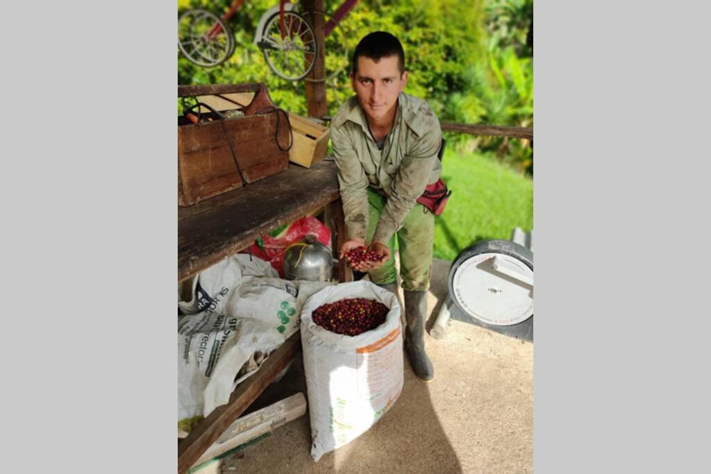 Finca La Antigua. finca tradicional Cafetera