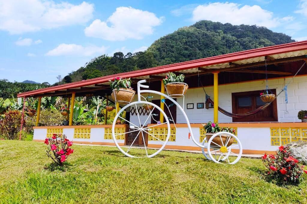 Finca La Antigua. finca tradicional Cafetera