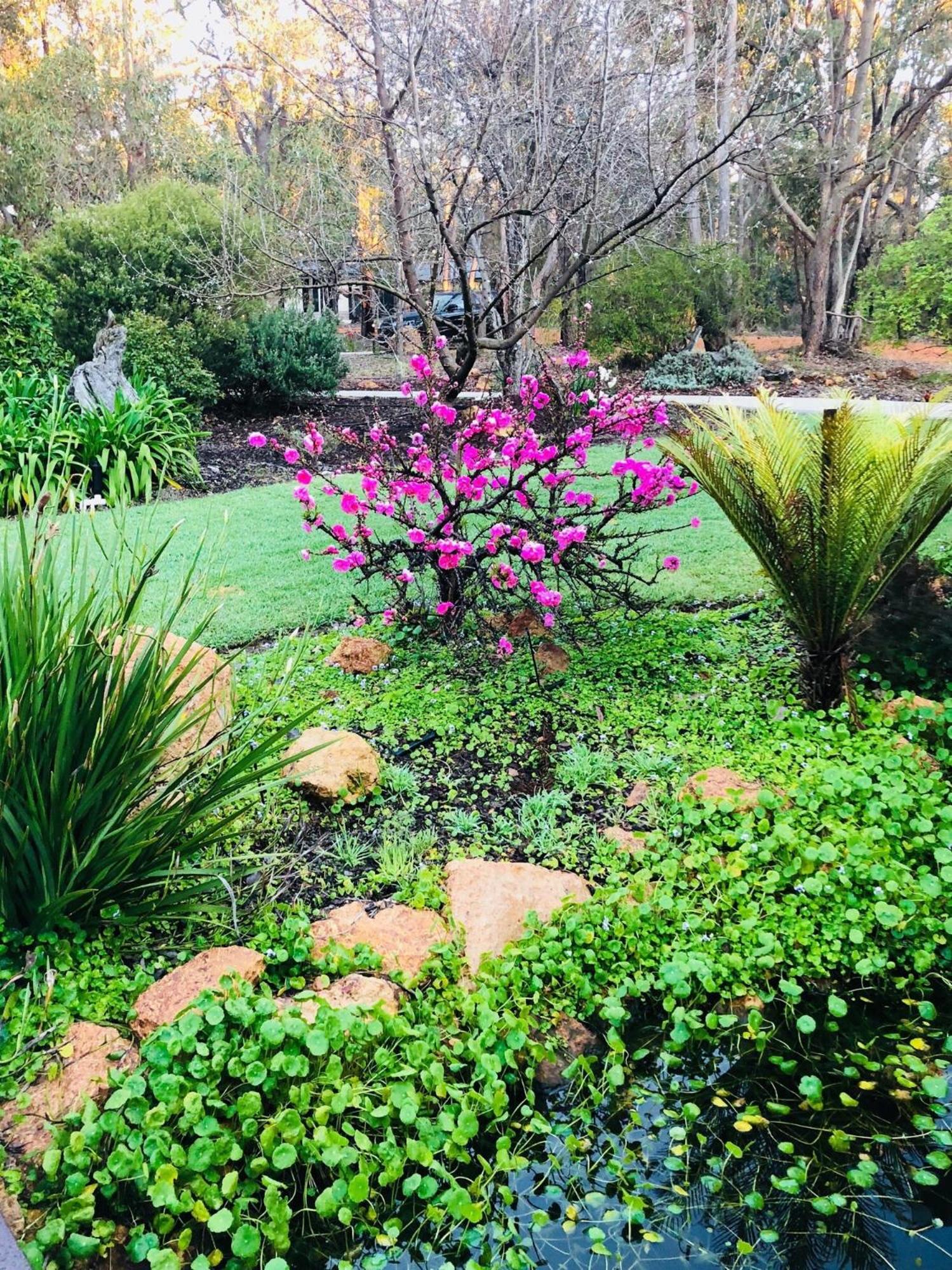 Amaroo Retreat & Spa