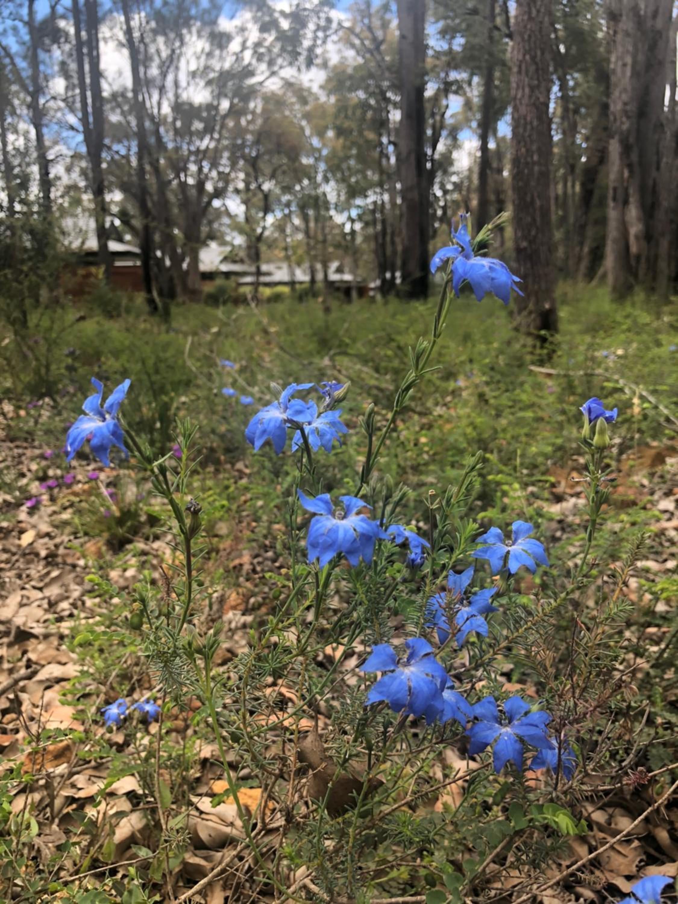Amaroo Retreat & Spa