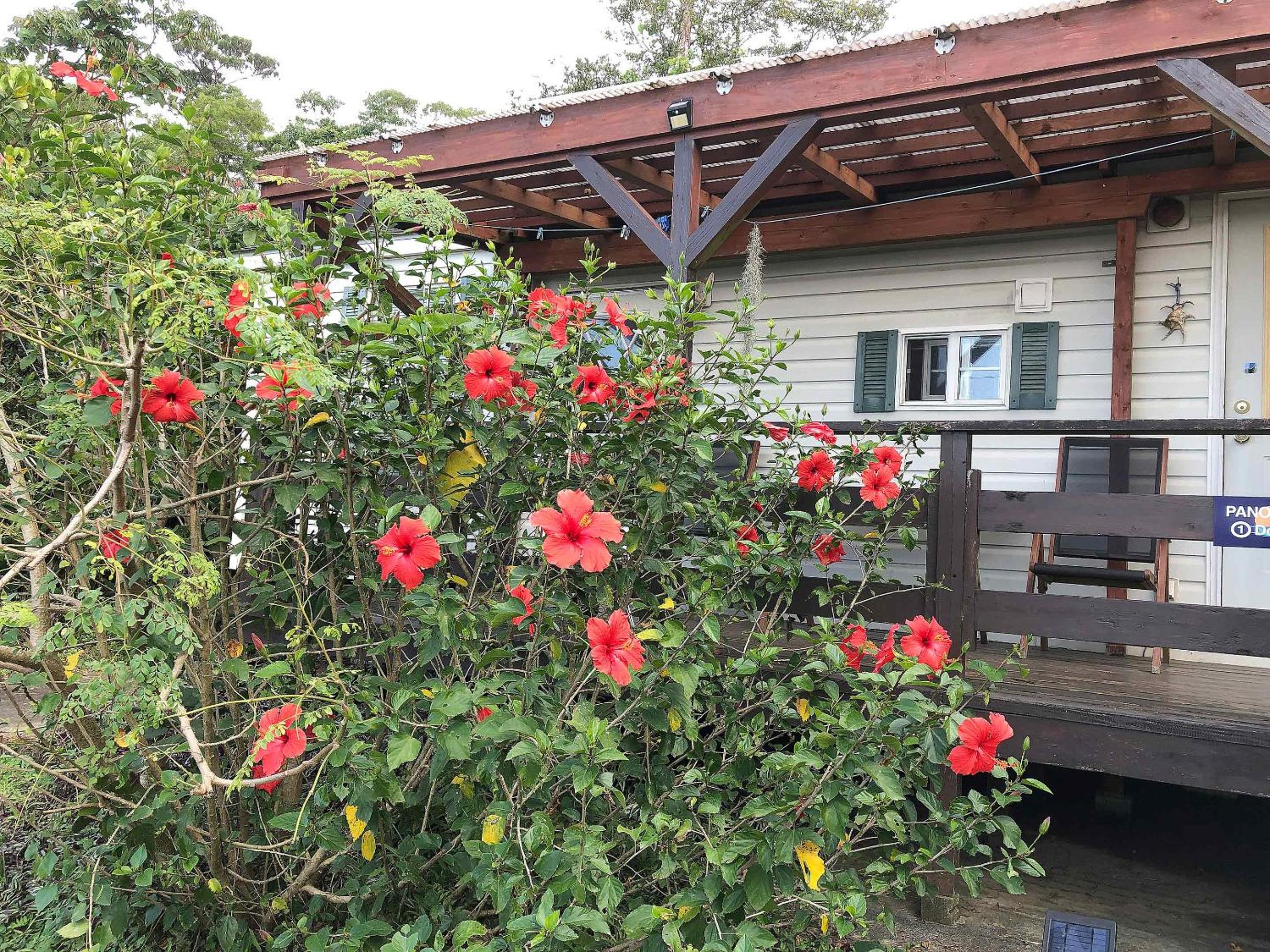 PANORAMA Ocean View Cottage