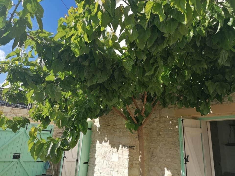 LAOUTARIS INN
