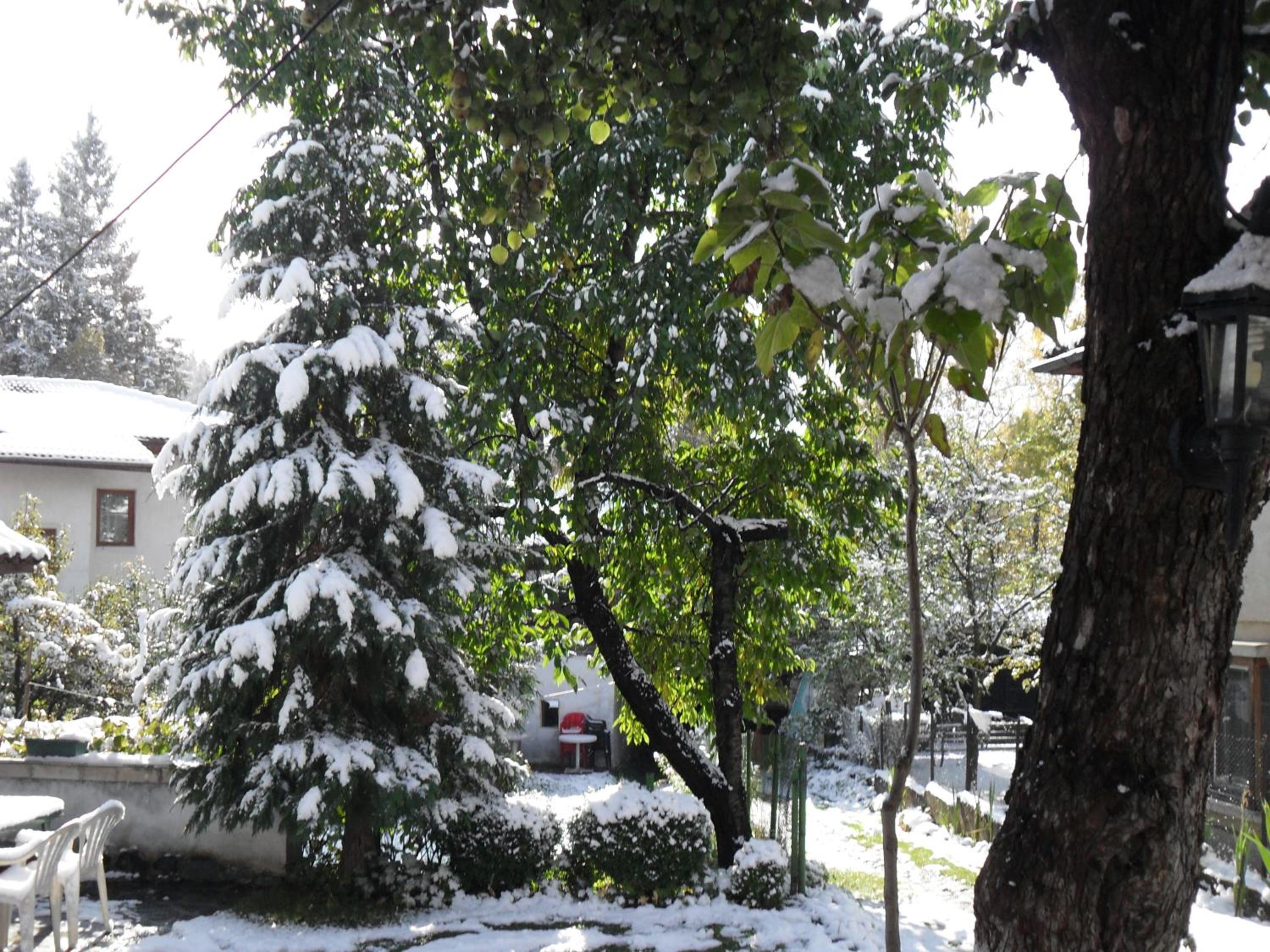 Borimechkova Kashta