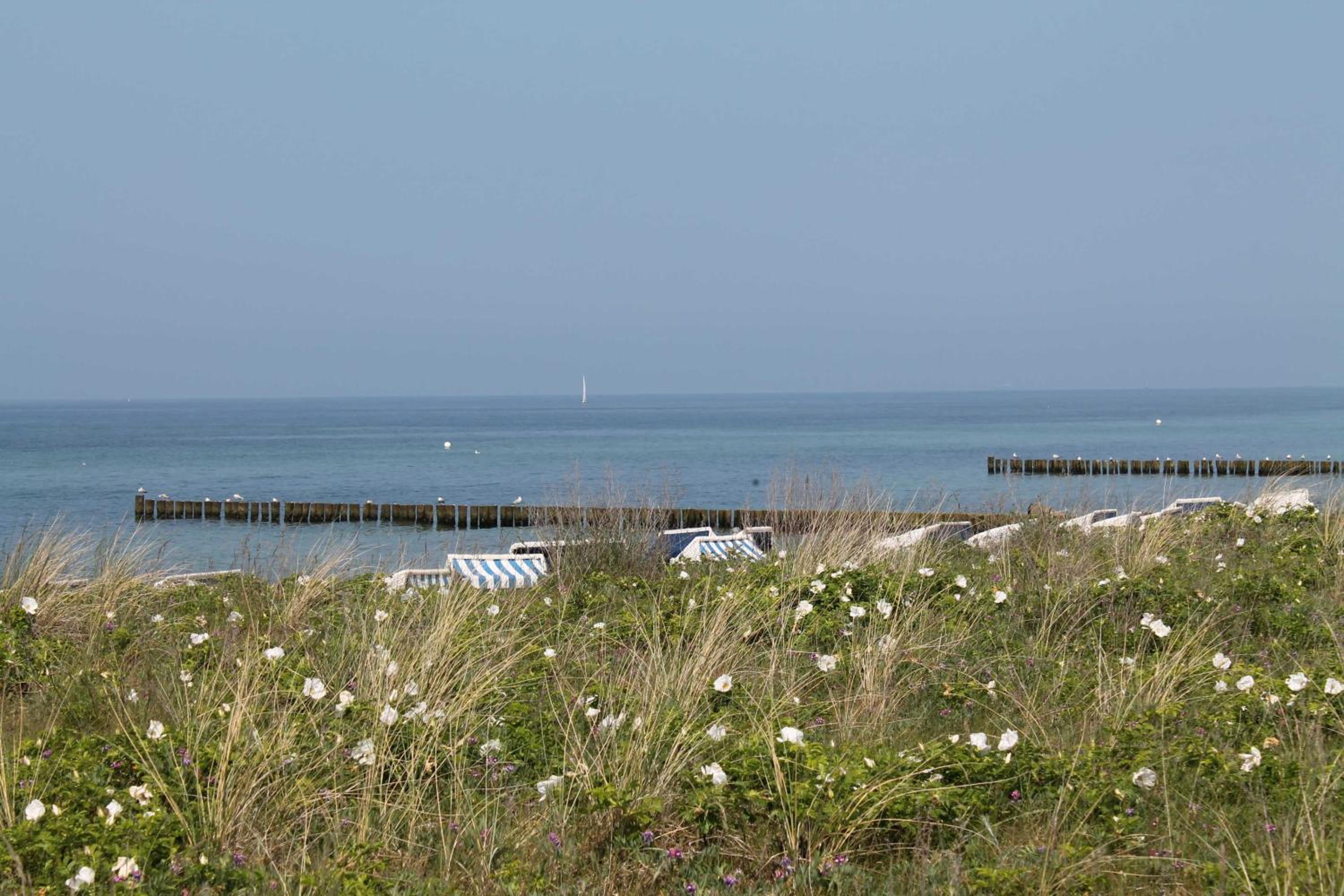 Ferienhof am Leuchtturm mit Meerbl