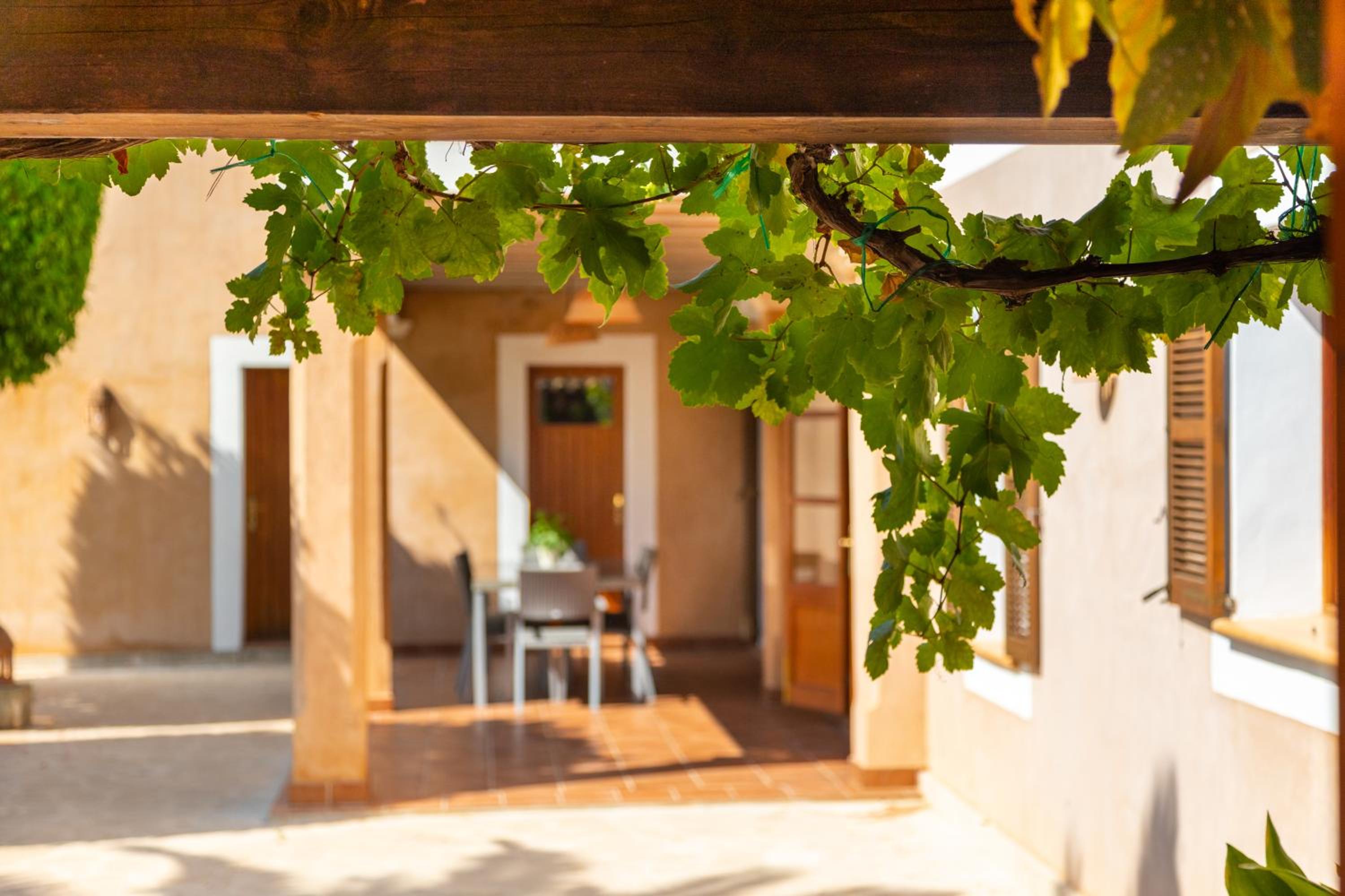 Finca Tallador
