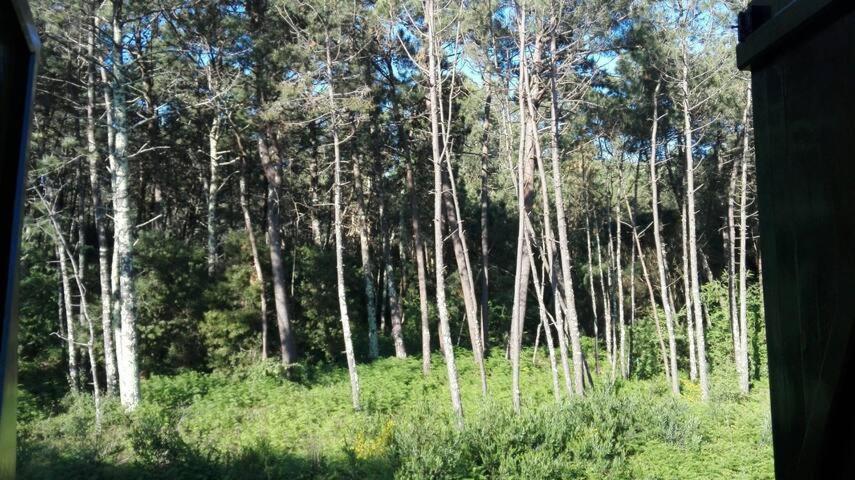 Photo 49