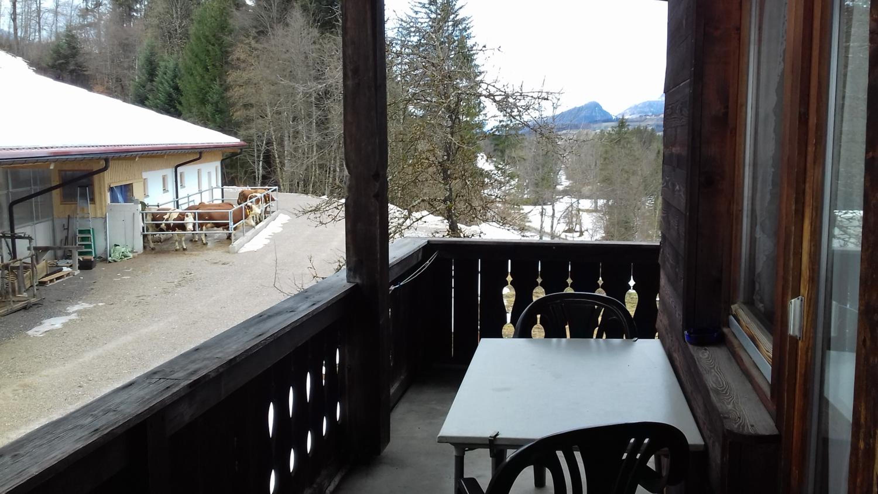 Liebertingerhof