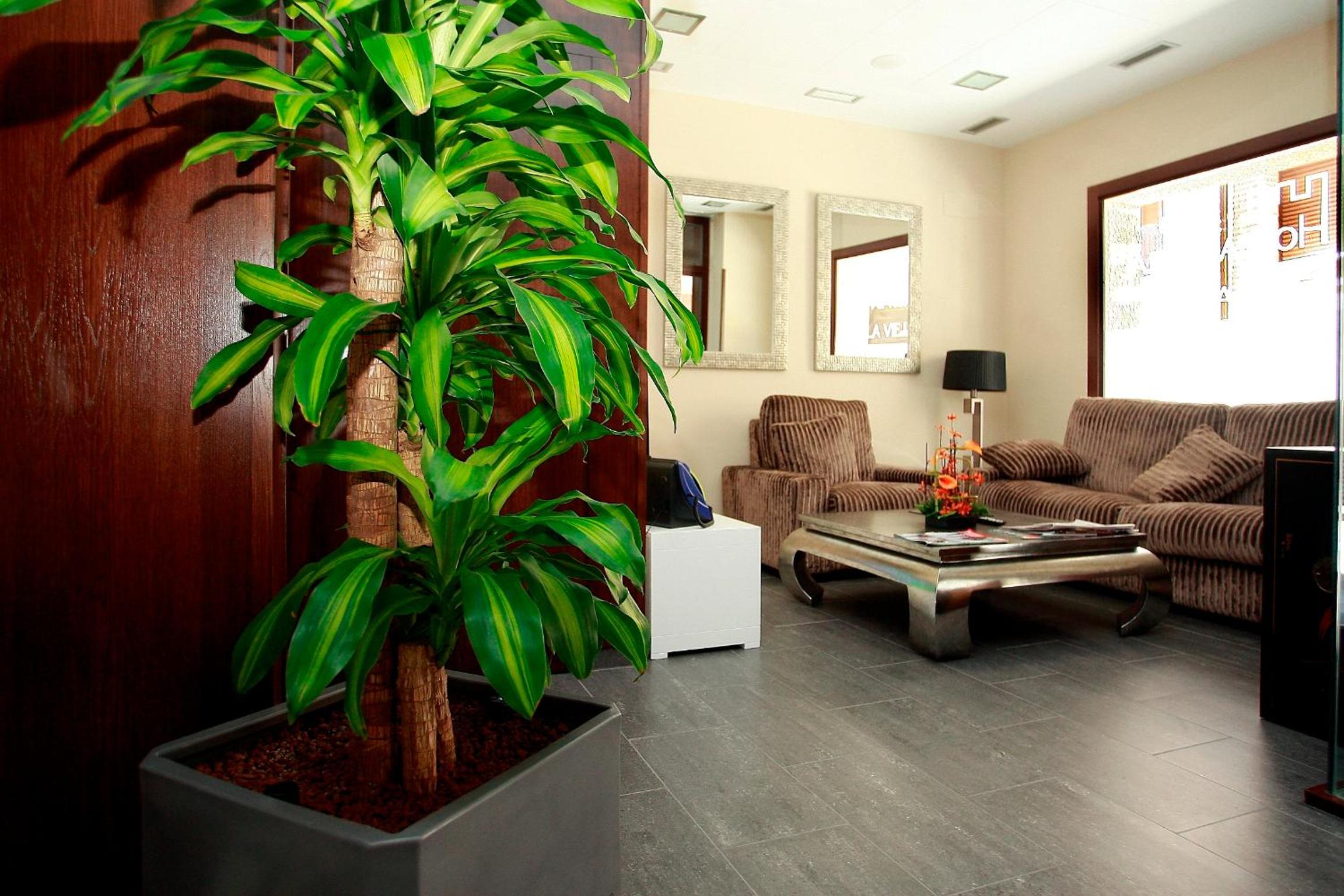 Hostal Rural Villa Vieja