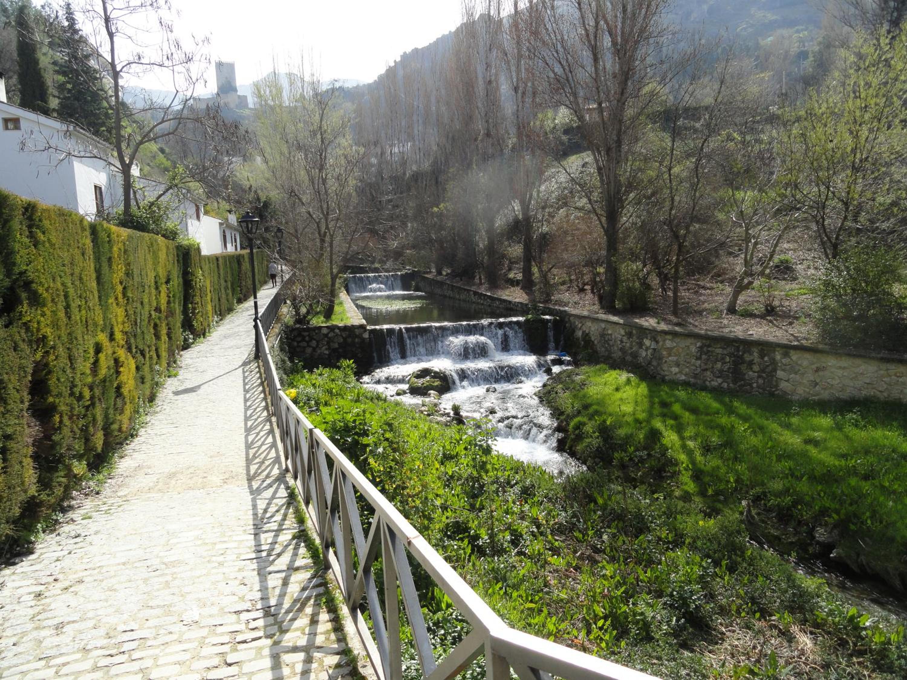 Photo 24