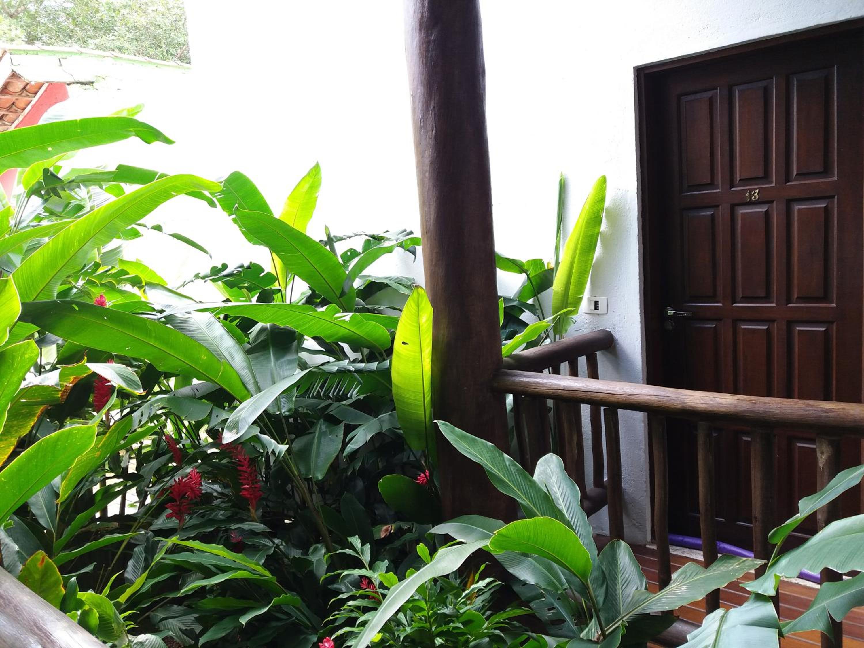 Hotel Pousada Tartarugas De Pauba