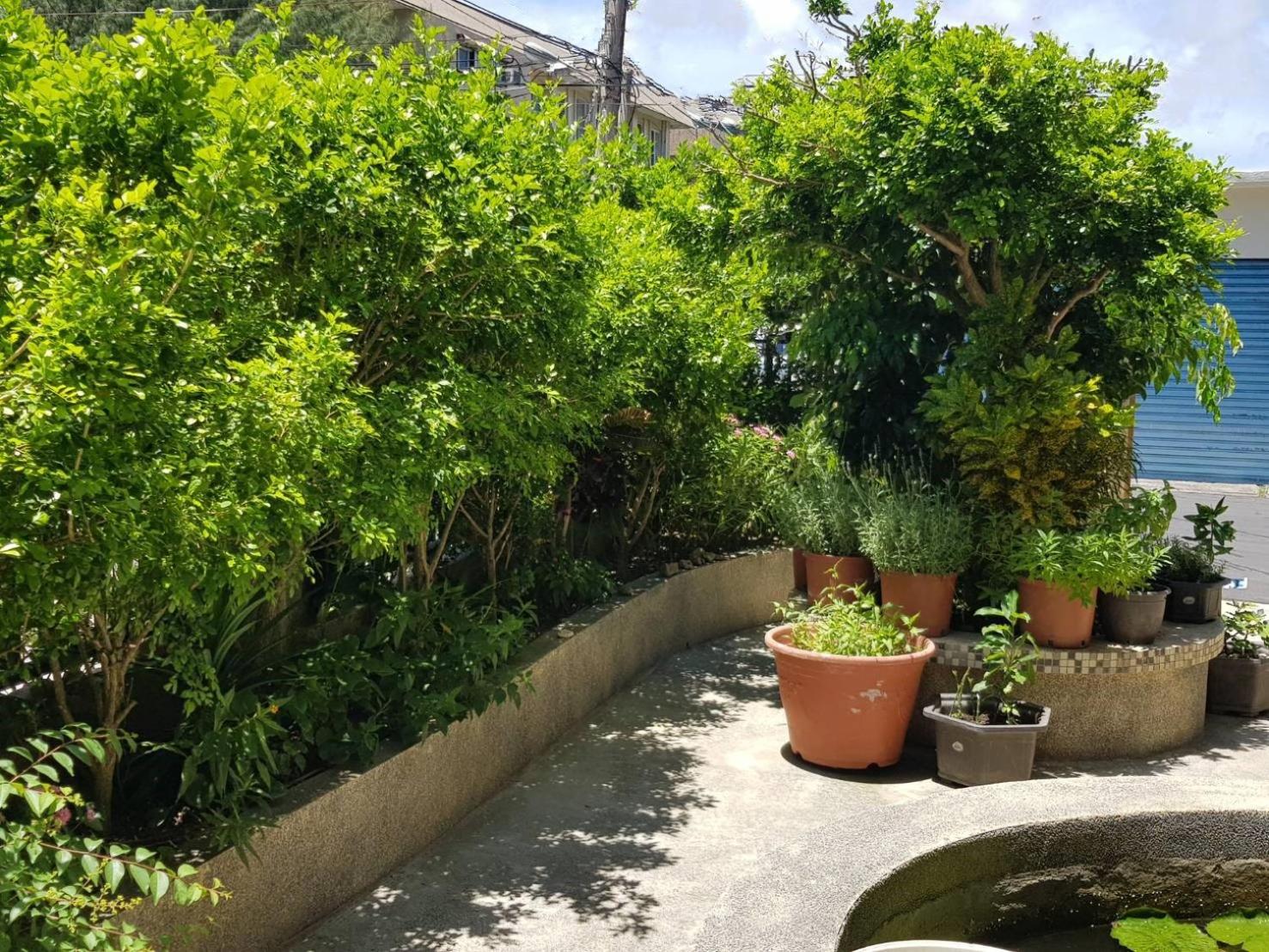 Photo 16