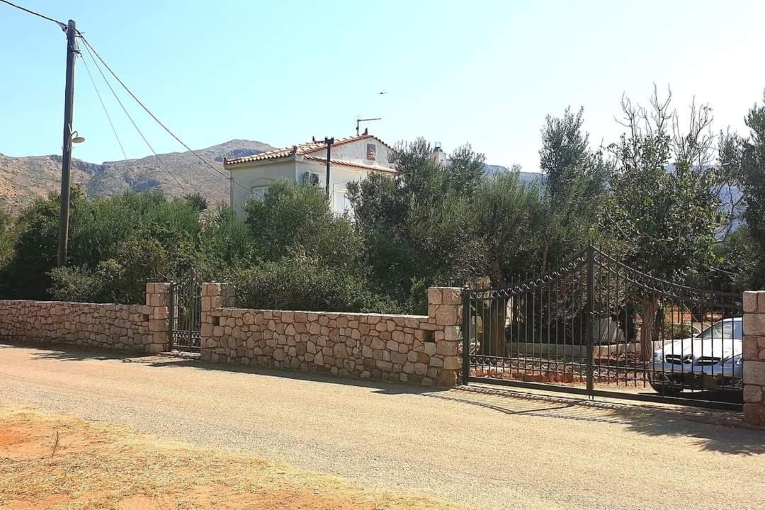 Photo 22