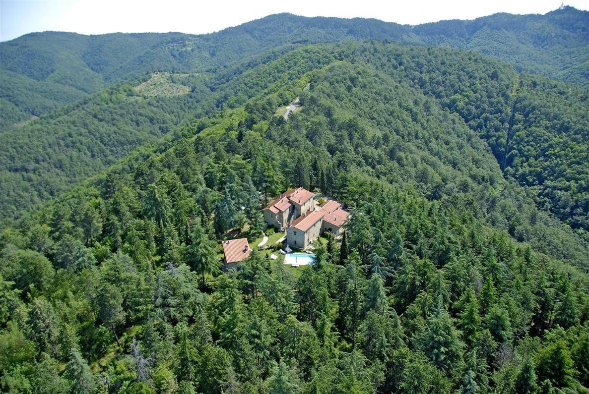 Basilico