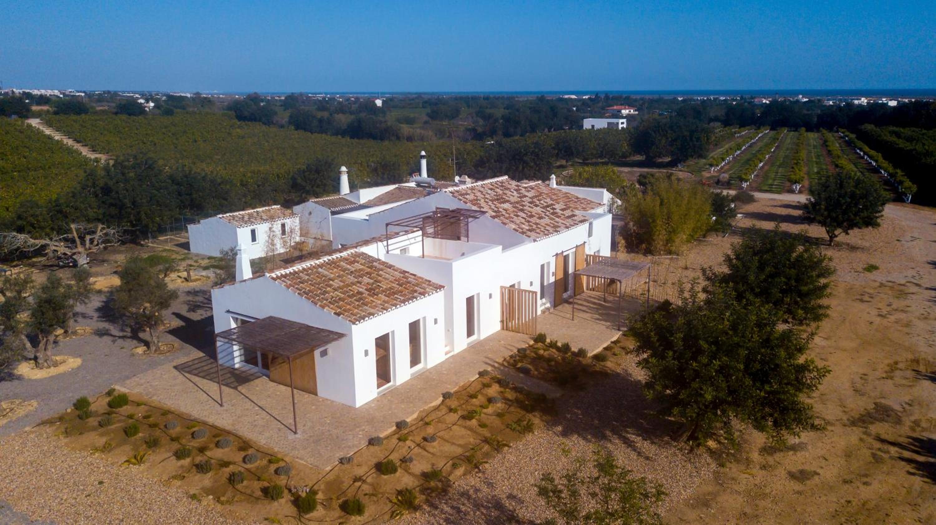 Quinta da Pintassilga view 4