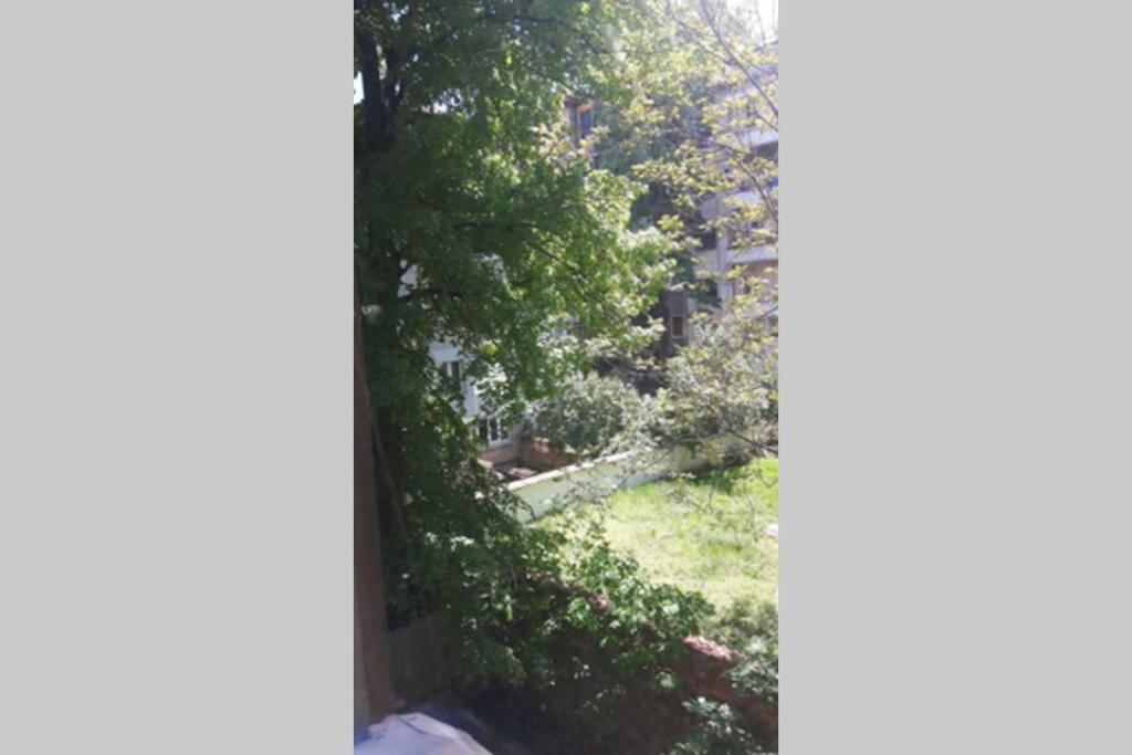 Apartment Han Asparuh aktuel