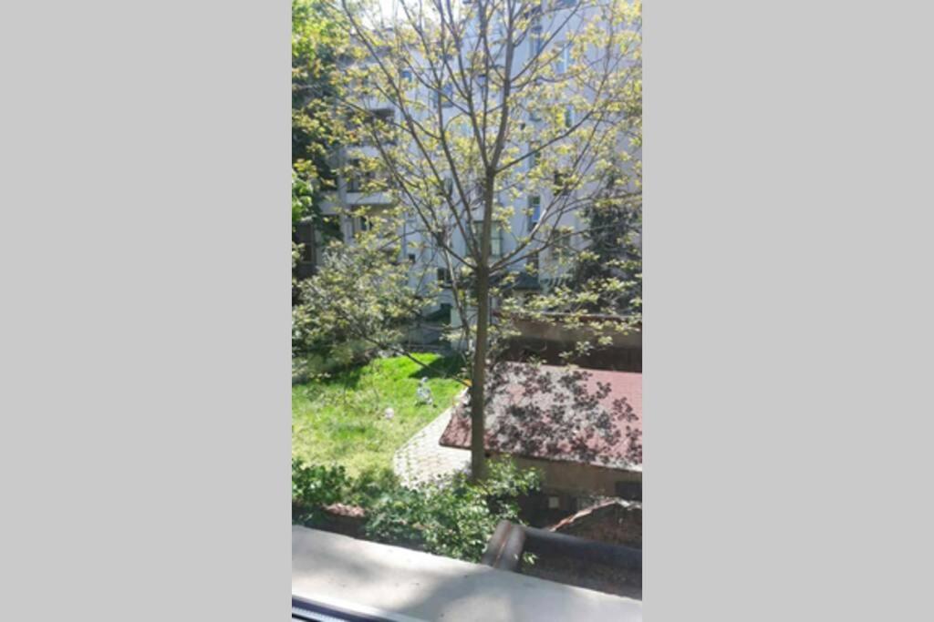 Apartment Han Asparuh aktuel