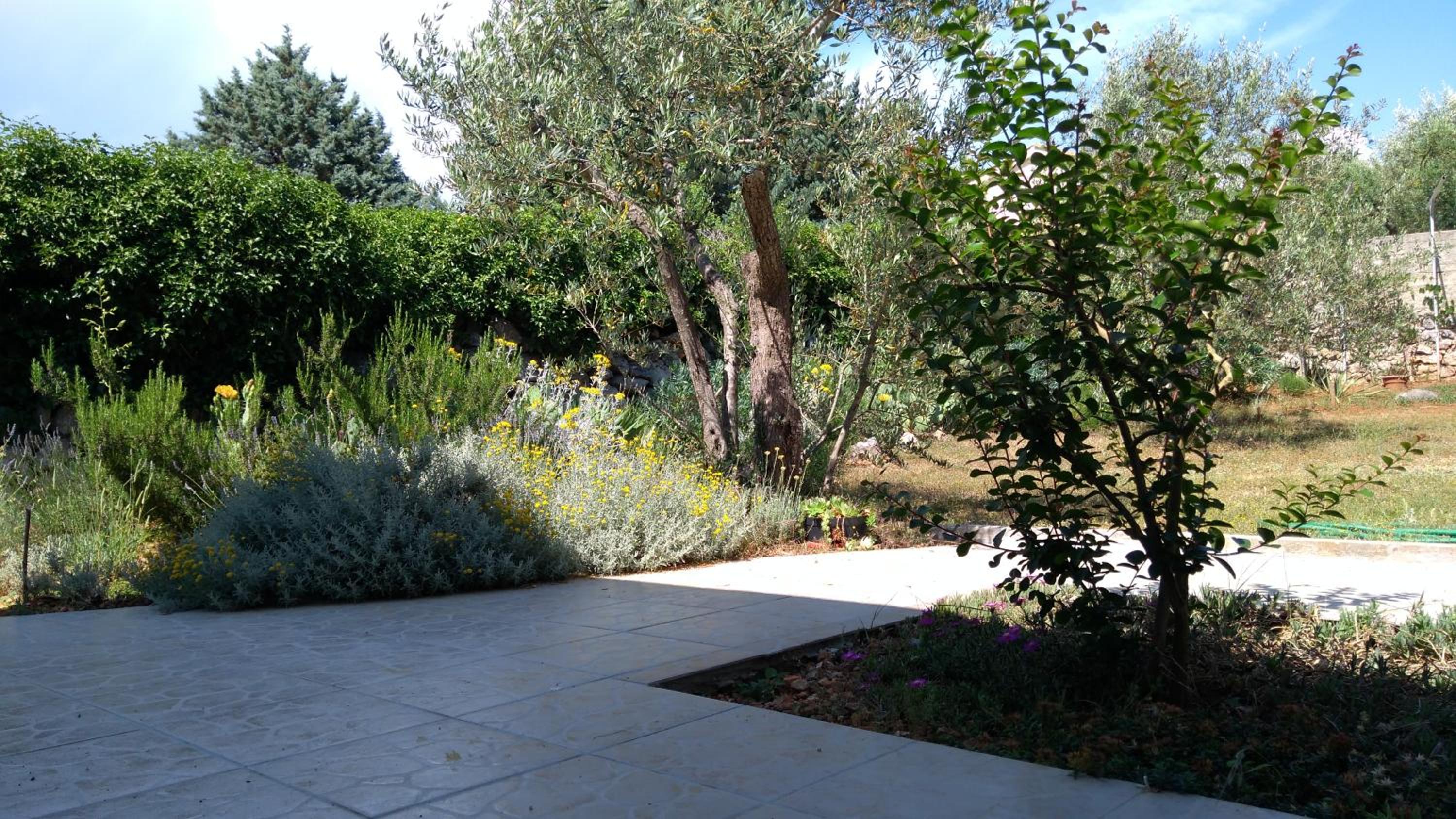 Apartman Ruža view 2