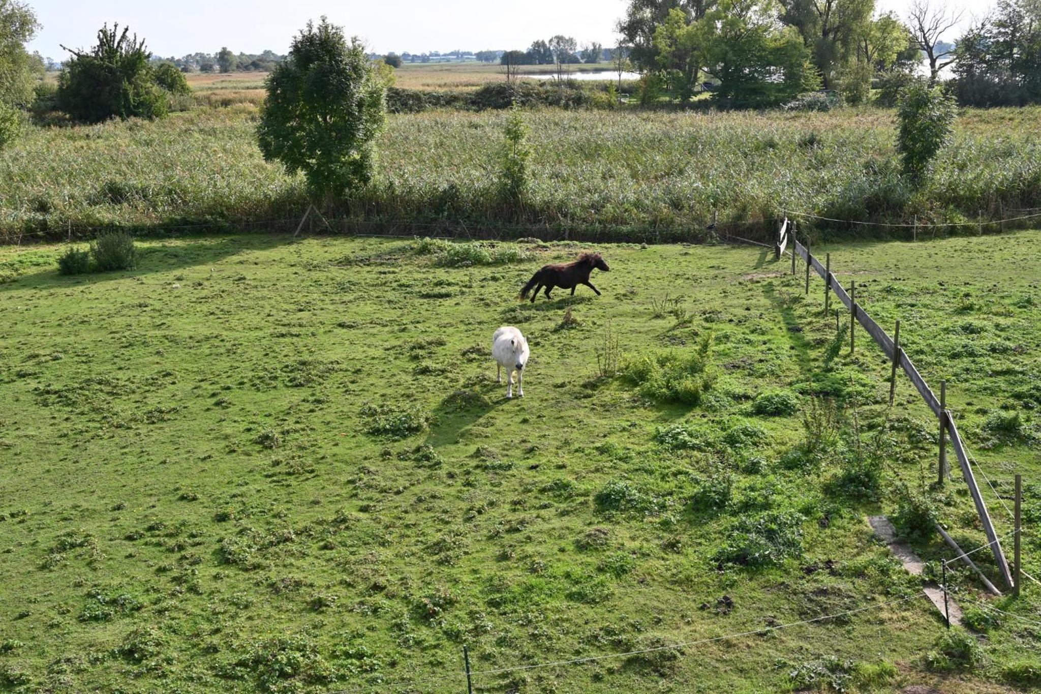 Photo 33