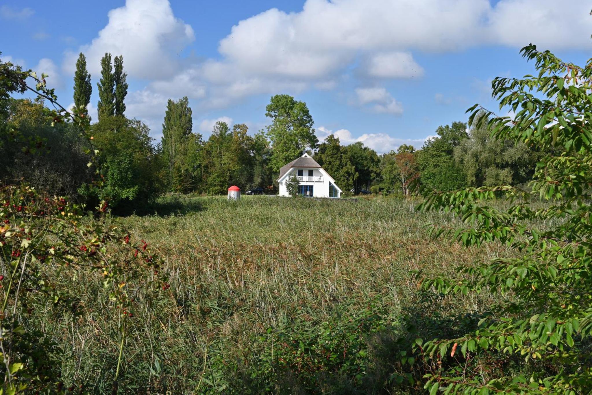 Photo 38