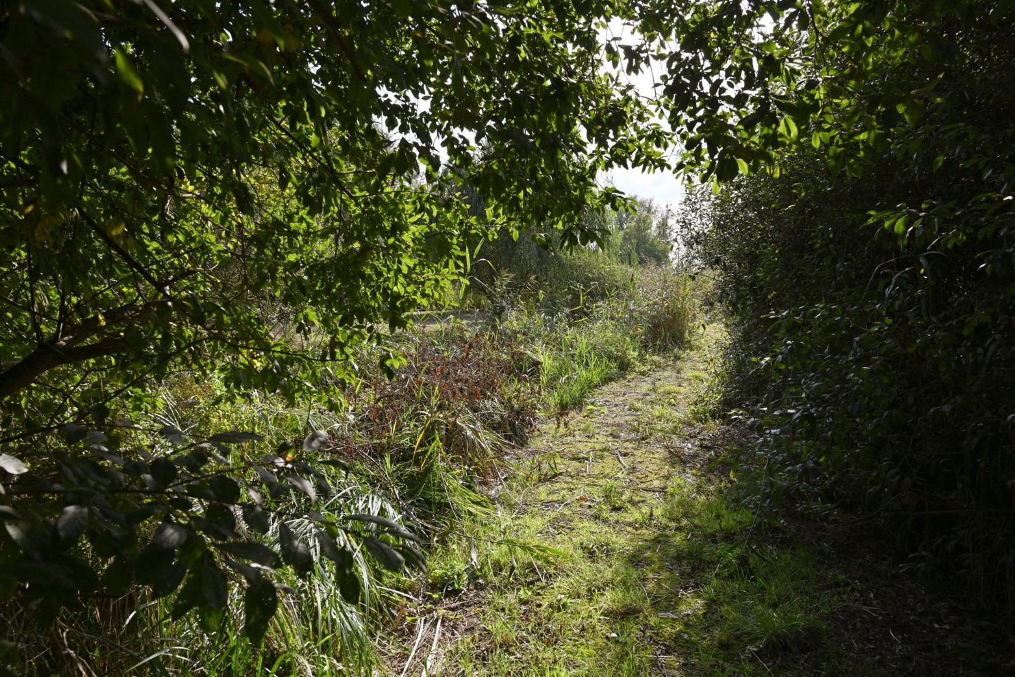 Photo 40