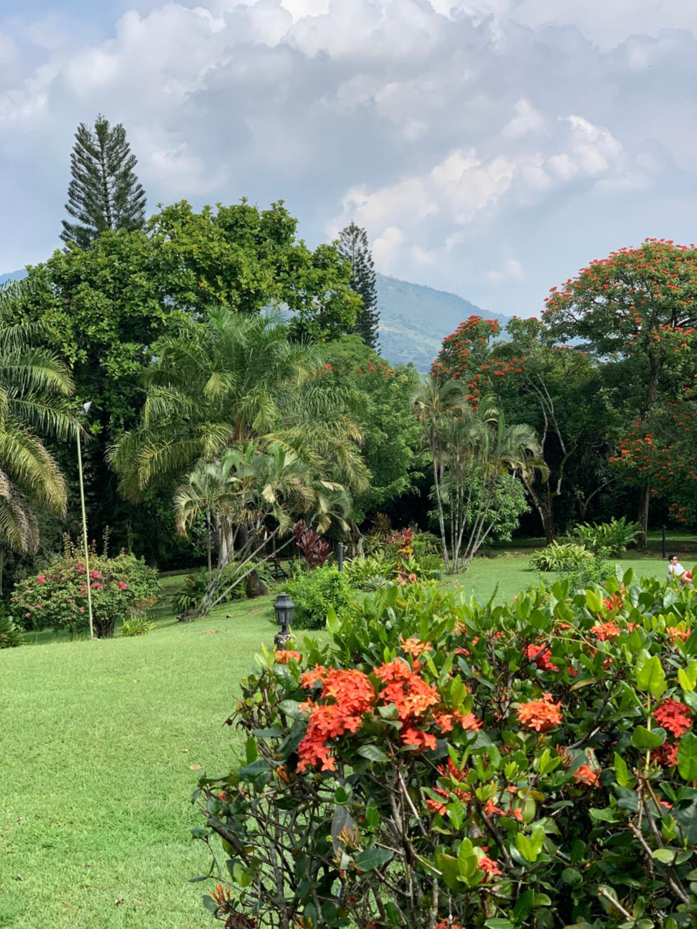 Villa Calusa