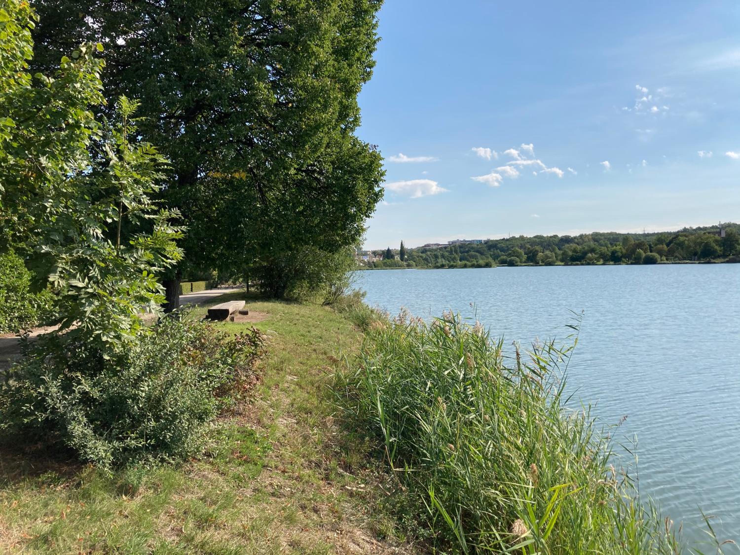 Apartments near the pond