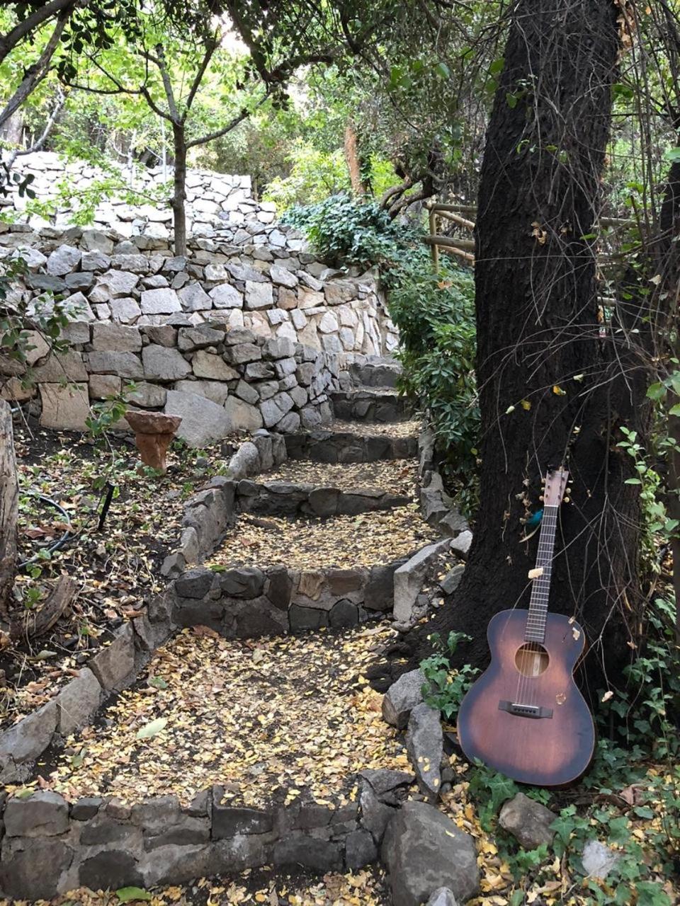 Casa de Montaña inmersa en Bosque Nativo