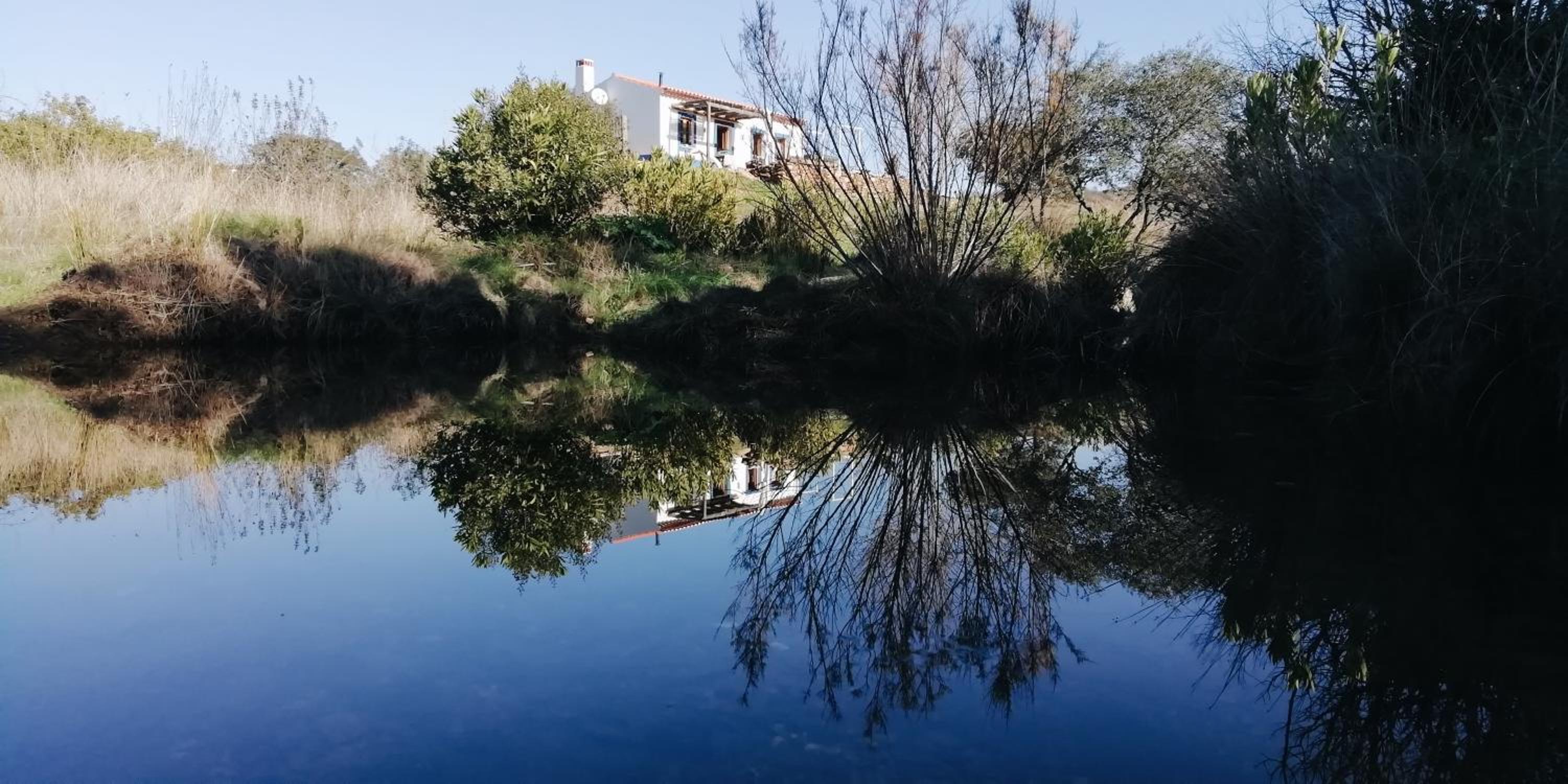 Casas de Campo do Castro da Cola view 4