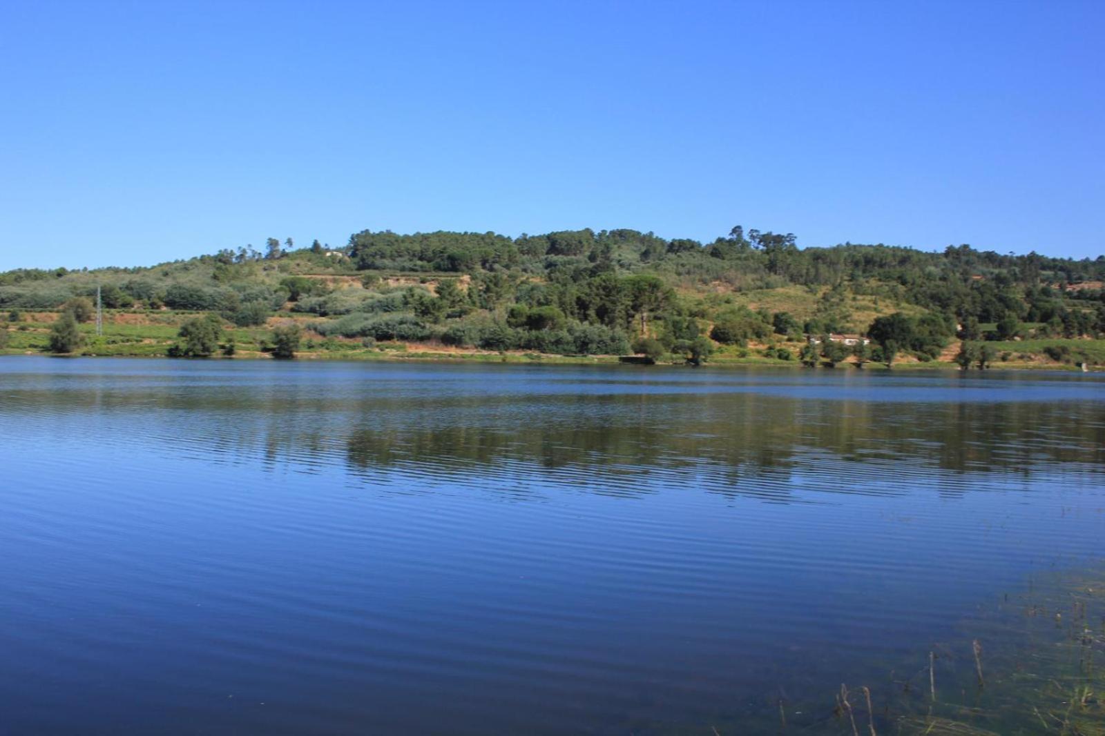 Photo 44