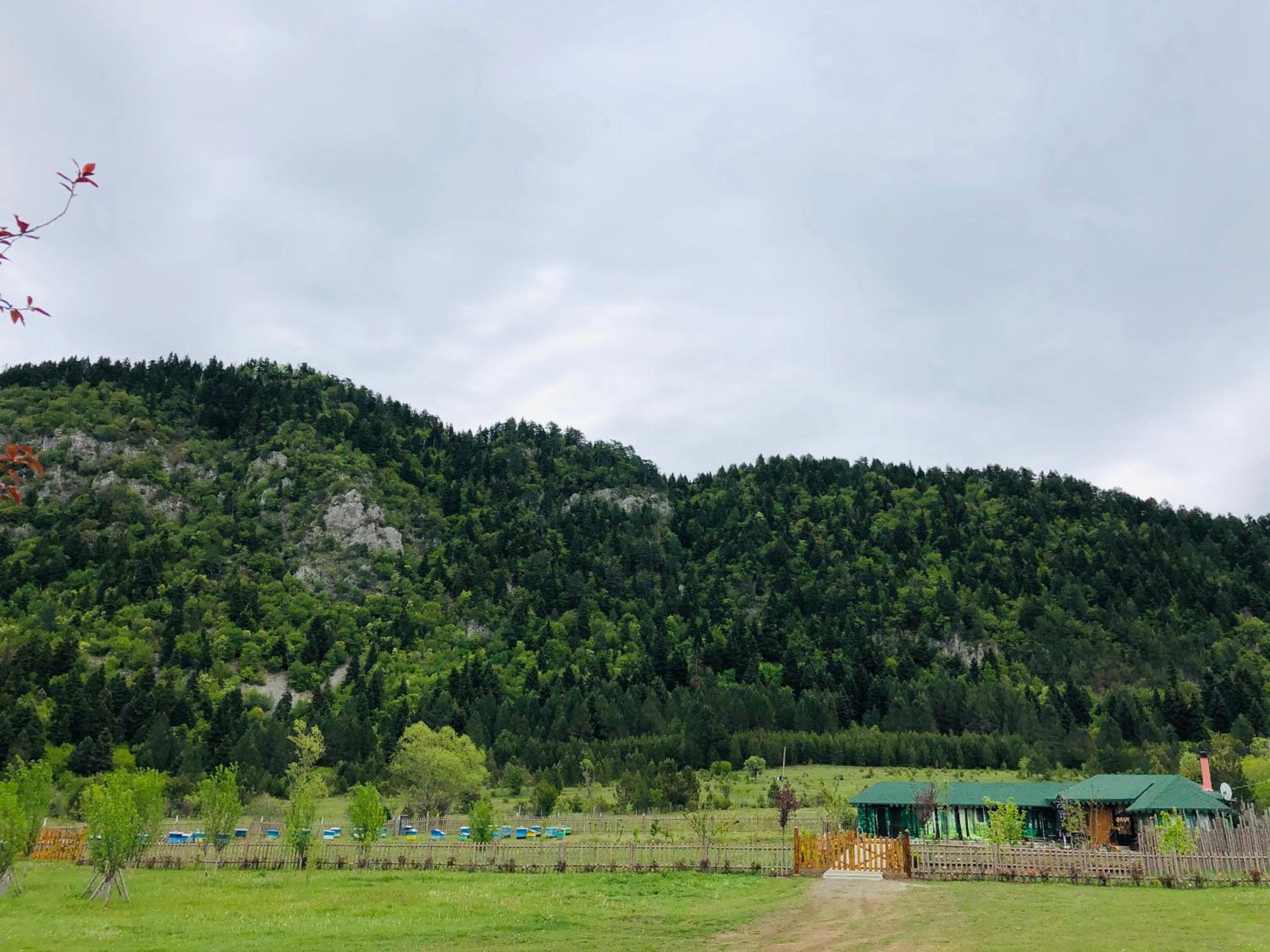 Camping Farm Shelegur