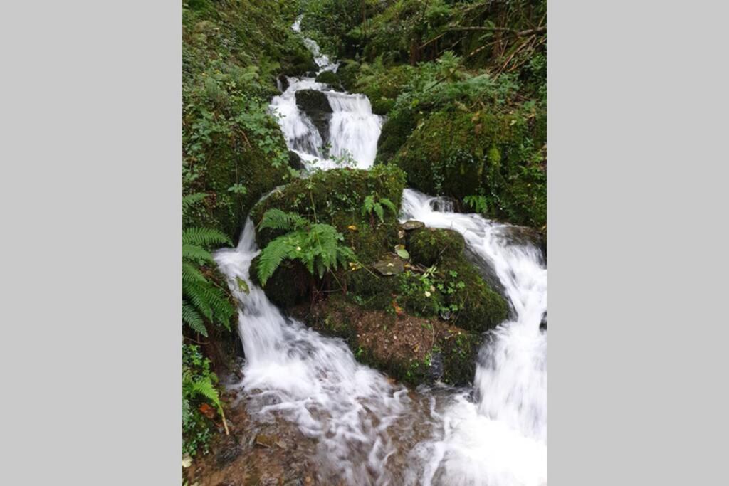 Lynton Vacations - The Eaves in Lynton, Exmoor, Devon - Property Image 7