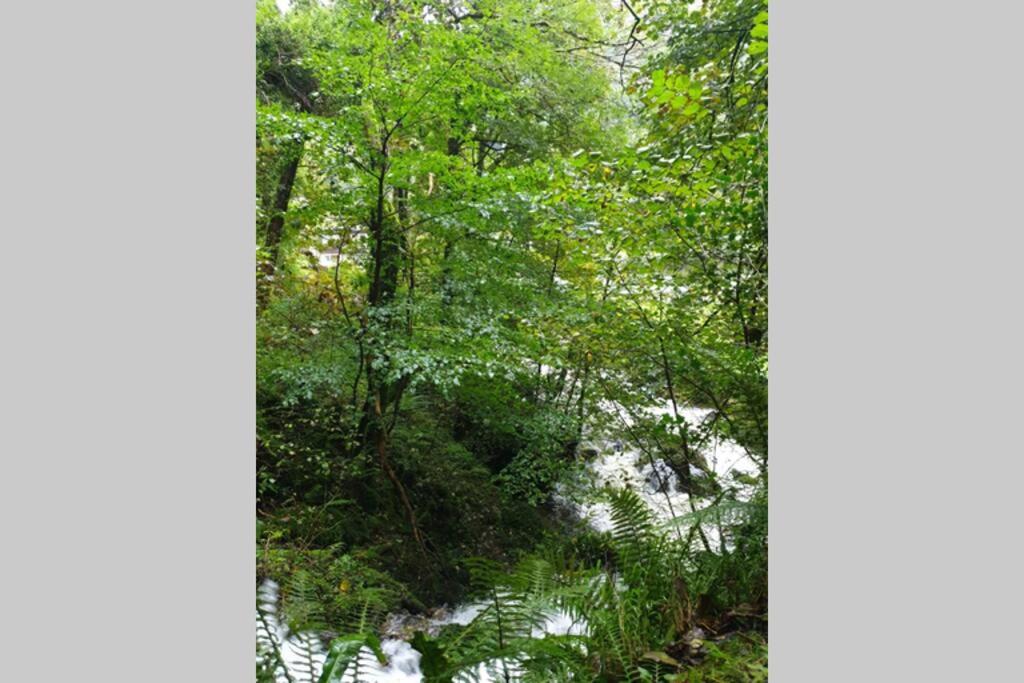 Lynton Vacations - The Eaves in Lynton, Exmoor, Devon - Property Image 5
