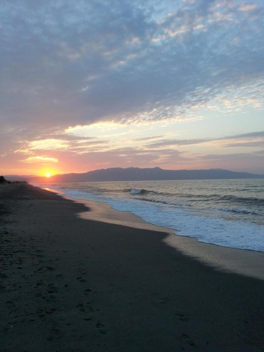 Photo 42