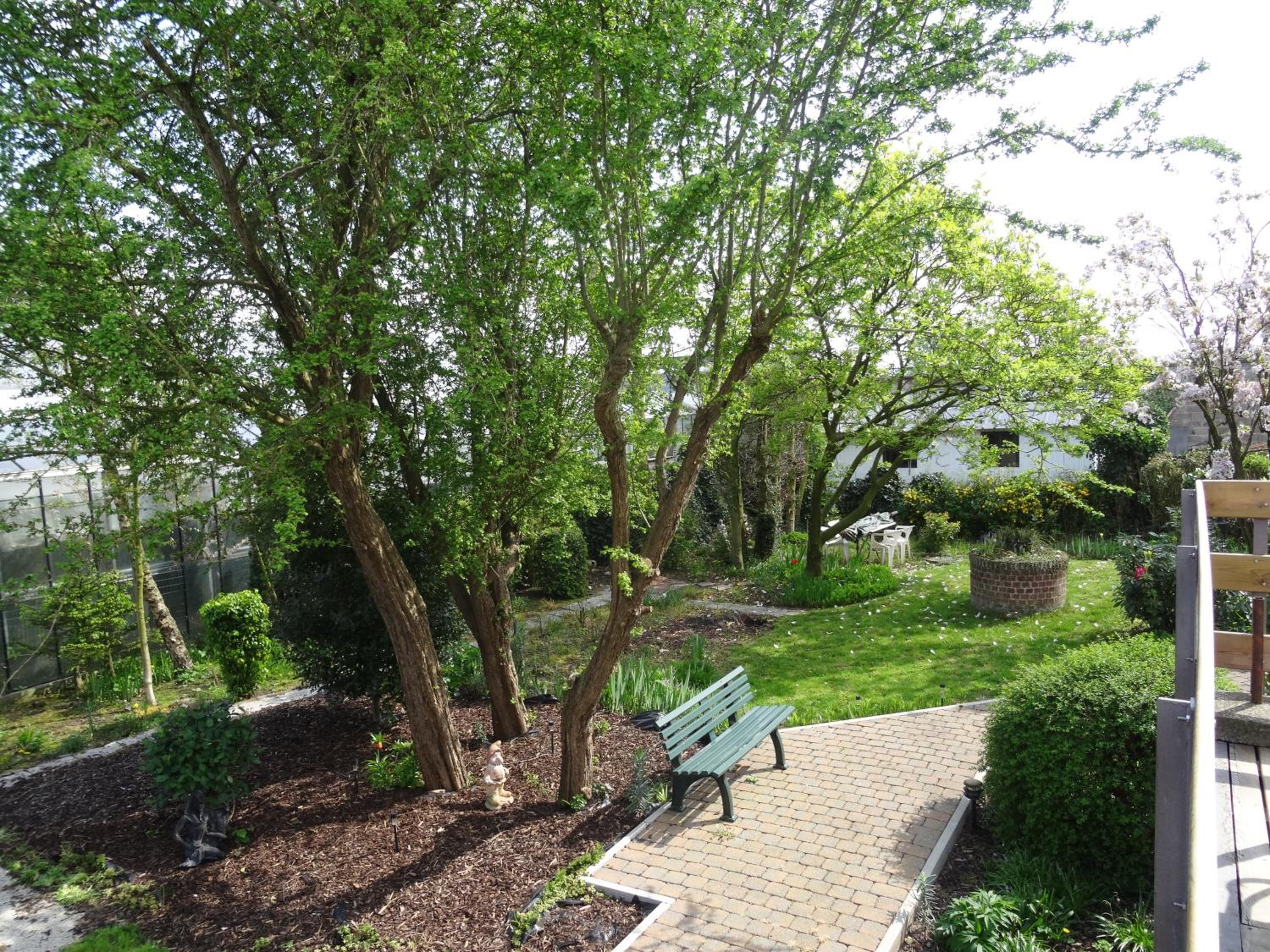 Photo 25