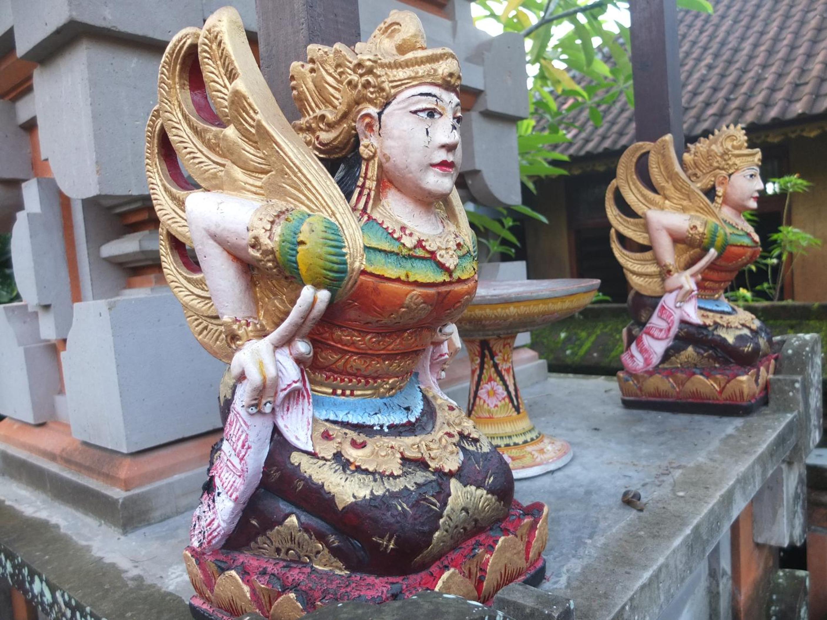 Leket house view 4