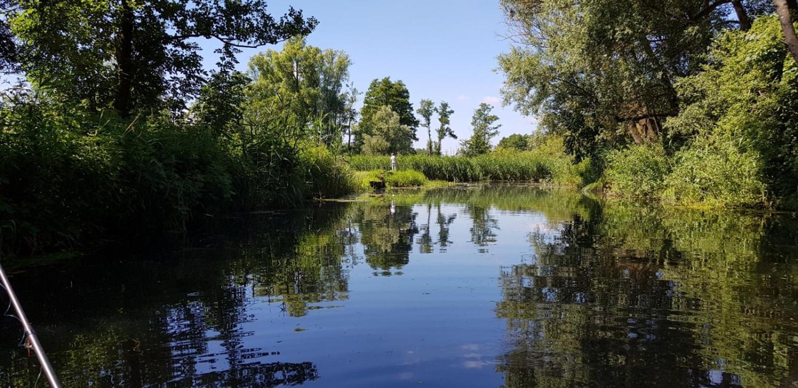 Natur&Meer: Ferienwohnung im idyllischen Landhaus