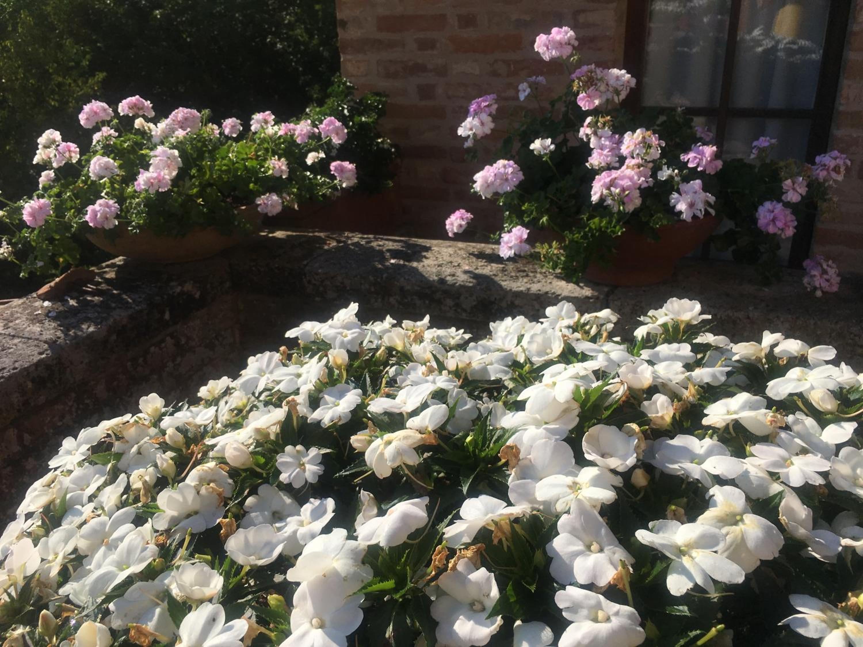 Photo 56