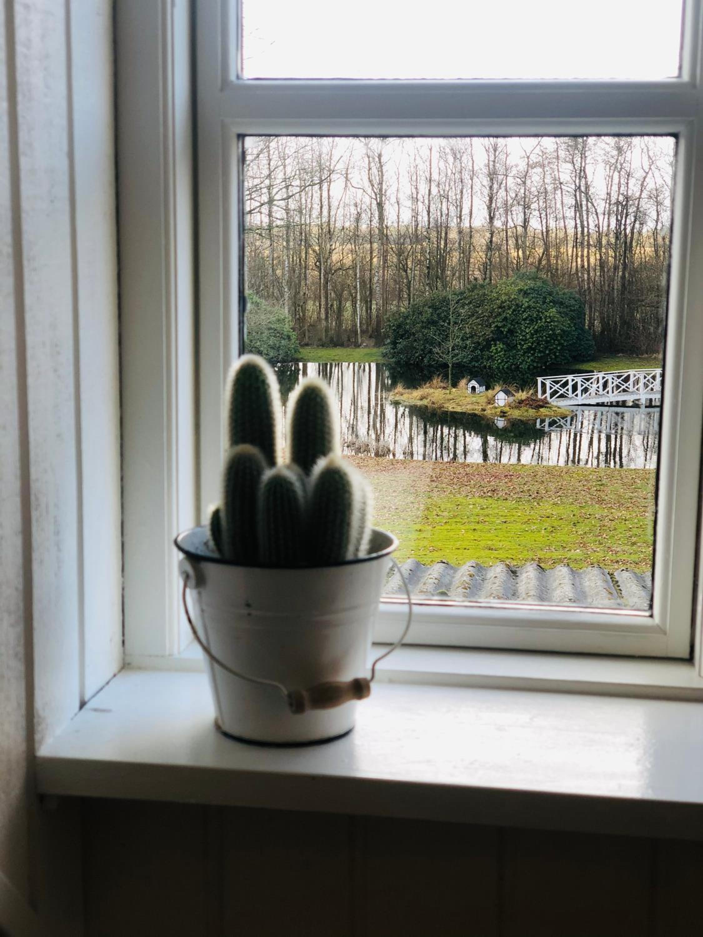 Pension Lærkelill