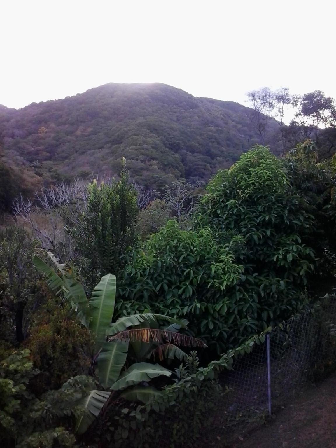 Photo 36