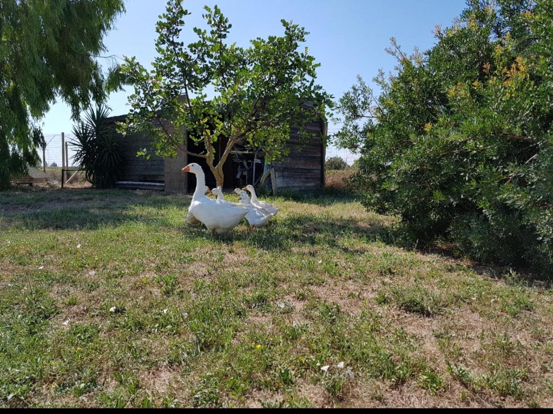 Photo 41