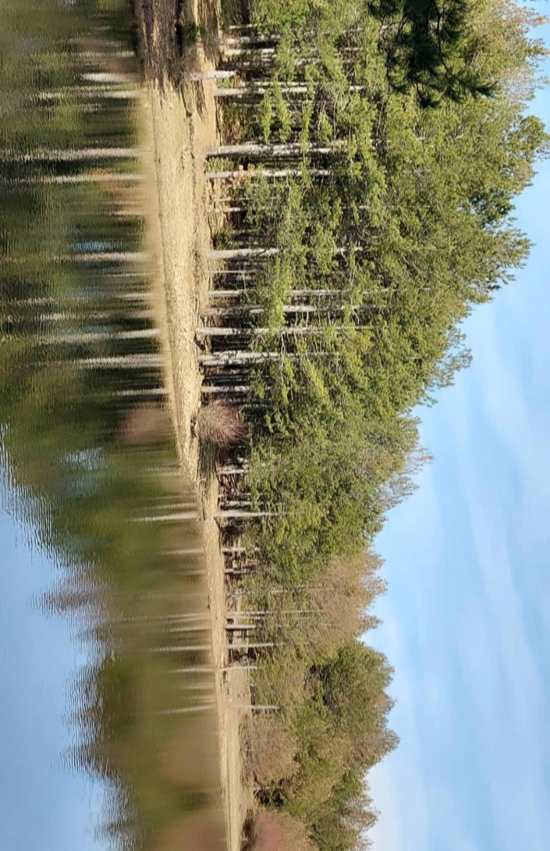 Camping Farm Shelegur